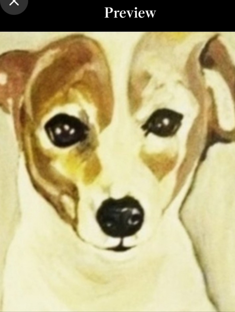 Your pet portrait or Good Luck Koi fish on canvass